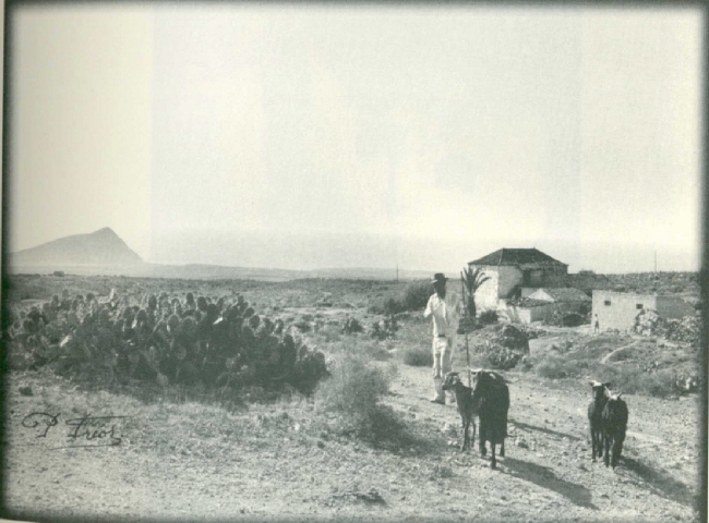 Granadilla de Abona. Cabrero en San Isidro. Fondo Fotográfico Ayuntamiento de Granadilla de Abona 